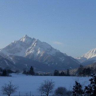 Haus Angelika - Bed & Breakfast - Innsbruck/Igls Dış mekan fotoğraf